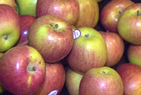 Afalau