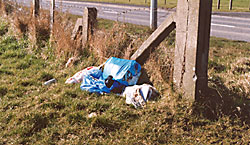 Litter dumped in a field outside Carryduff, Co Down