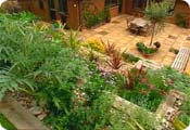 The perfect terrace planting shceme