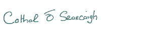 Cathal O Searcaigh