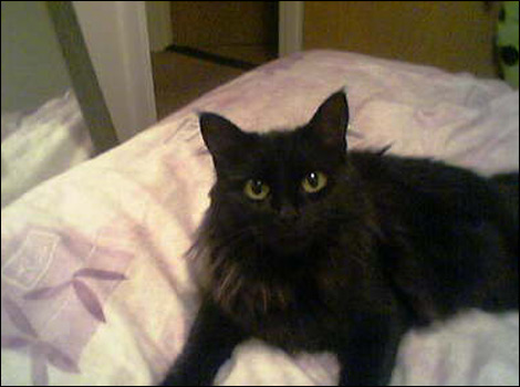 Salem