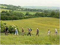 Kingcombe meadows