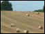 Field