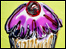 Sue Bartlett - cupcake