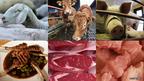 A sheep, cow and pig, mutton, beef and pork