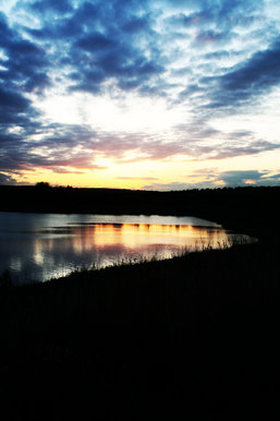 Barrhead Dams