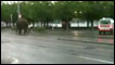 Elefante em Zurique