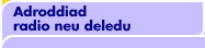 Adroddiad radio neu deledu