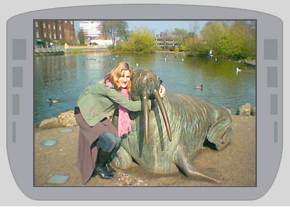 Nemone in Sunderland