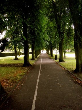 [untitled]
