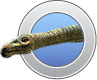 Tanystropheus
