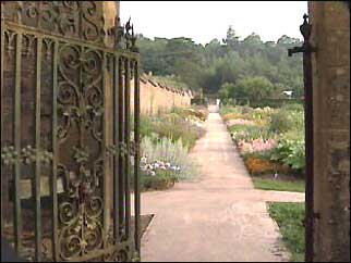 Kitchen garden viewed through a gate