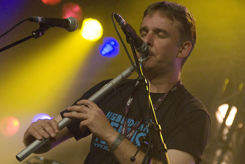 Peatbog Faeries