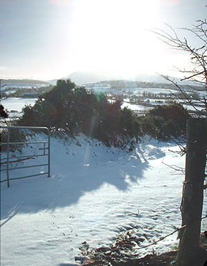 snow on the fields