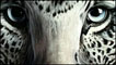 Pintura corporal de Craig Tracy