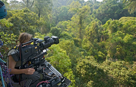 Production at the NHU