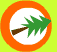 Nesaf