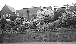 Assumption Grammar  School, Ballynahinch  (1990s)
