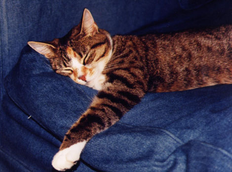 Milly relaxes at the end of the day