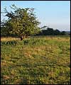 Twyford Down