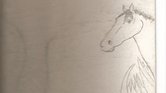Horse Horse