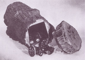 Plaster logs