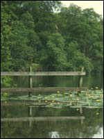 Colesmere