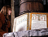 Narnia chronicles book