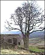 Top Withens