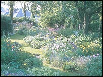 a garden