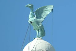 One of Liverpool's Liver Birds - picture courtesy of