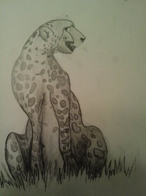 On The Look Out