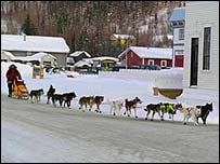 Picture: A dog-sled team rides into Dawson