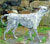 Cerflun Gelert