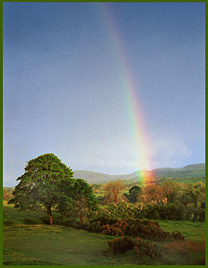 Rainbow's End