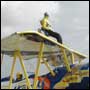 Wing walker