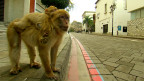 gibraltar