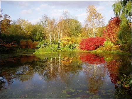 Rosemoor Gardens
