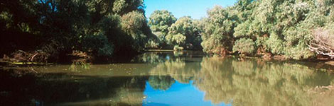 River Danube