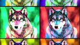 Wolf Wolf
