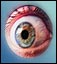 Human eye