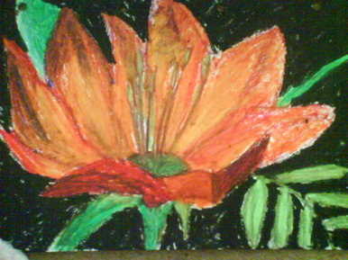 Flower