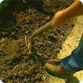 Organic manure