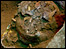 Skull of a Romano-British adult