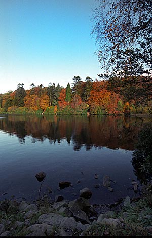Autumn scene in Castlewellan Forest