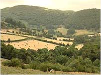 Gilfach Farm