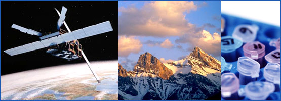 Discovery 2008