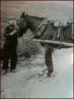 Lion with Margaret's father