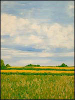 'Rape Field' by Paul Langford