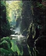 The gorge